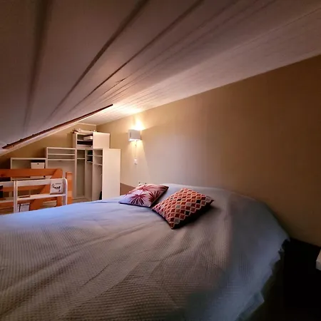 Joli Nid Cosi A La Montagne -lecherette Apartment