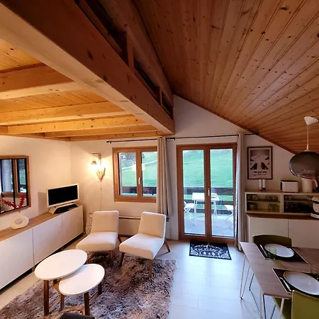 Daire Joli Nid Cosi A La Montagne -lecherette