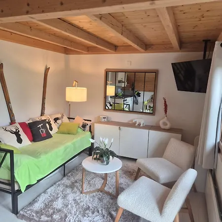 Joli Nid Cosi A La Montagne -lecherette Apartment *