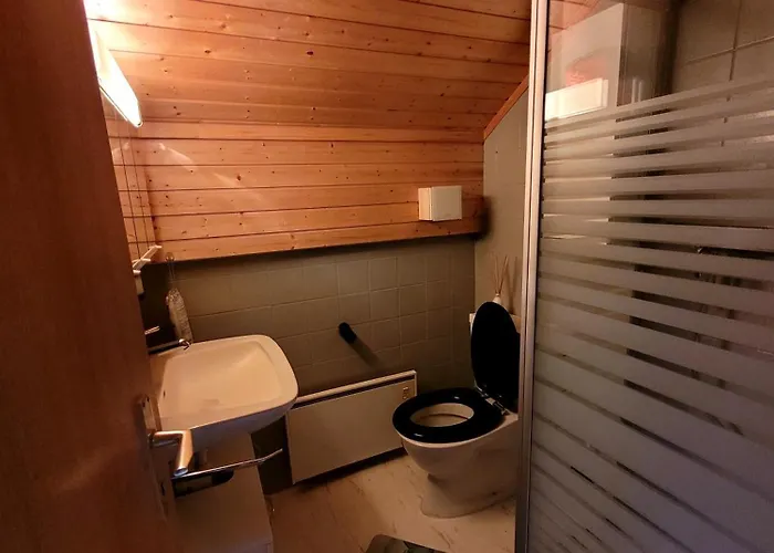 Joli Nid Cosi A La Montagne -lecherette Appartement Chateau-d'Oex